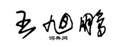 朱錫榮王旭鵬草書個性簽名怎么寫