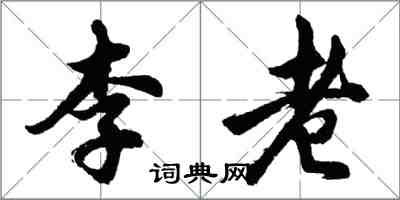 胡問遂李老行書怎么寫