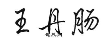 駱恆光王丹腸行書個性簽名怎么寫