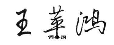 駱恆光王苹鴻行書個性簽名怎么寫