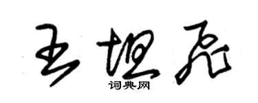 朱錫榮王坦飛草書個性簽名怎么寫