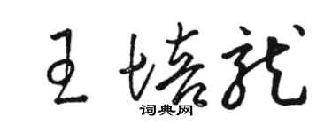 駱恆光王培龍草書個性簽名怎么寫