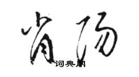 駱恆光肖陽草書個性簽名怎么寫