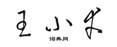 駱恆光王小幸草書個性簽名怎么寫