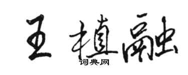 駱恆光王植融行書個性簽名怎么寫