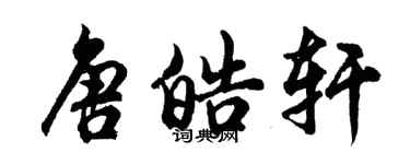 胡問遂唐皓軒行書個性簽名怎么寫