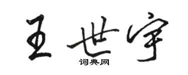 駱恆光王世宇行書個性簽名怎么寫