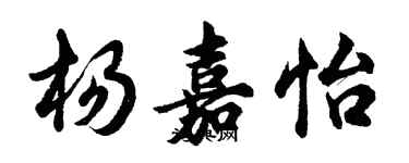 胡問遂楊嘉怡行書個性簽名怎么寫