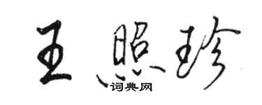 駱恆光王照珍行書個性簽名怎么寫