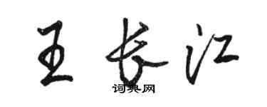 駱恆光王長江行書個性簽名怎么寫