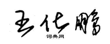 朱錫榮王化鵬草書個性簽名怎么寫