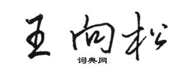 駱恆光王向松行書個性簽名怎么寫