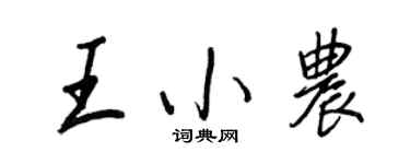 王正良王小農行書個性簽名怎么寫