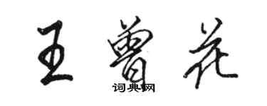 駱恆光王曾花行書個性簽名怎么寫