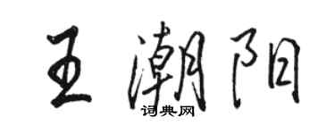 駱恆光王潮陽行書個性簽名怎么寫