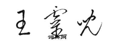 駱恆光王靈兒草書個性簽名怎么寫