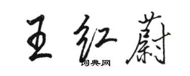 駱恆光王紅蔚行書個性簽名怎么寫