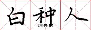周炳元白種人楷書怎么寫