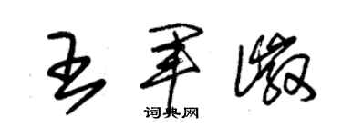 朱錫榮王軍徽草書個性簽名怎么寫