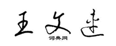 梁錦英王文連草書個性簽名怎么寫