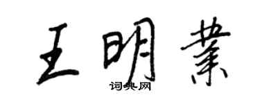 王正良王明業行書個性簽名怎么寫