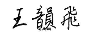 王正良王韻飛行書個性簽名怎么寫