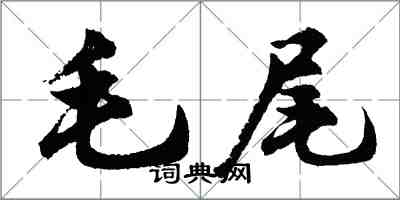 胡問遂毛尾行書怎么寫