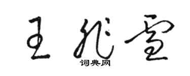 駱恆光王非雪草書個性簽名怎么寫