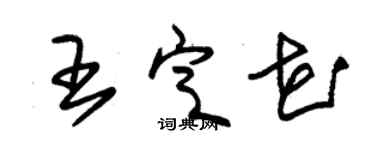 朱錫榮王定花草書個性簽名怎么寫