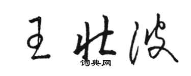 駱恆光王壯波草書個性簽名怎么寫
