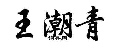 胡問遂王潮青行書個性簽名怎么寫