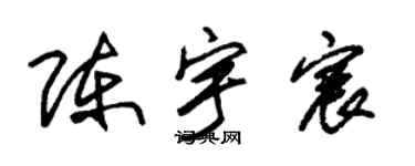 朱錫榮陳宇宸草書個性簽名怎么寫