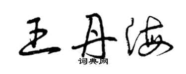 曾慶福王丹海草書個性簽名怎么寫
