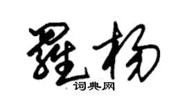 朱錫榮羅楊草書個性簽名怎么寫