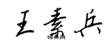 王正良王素兵行書個性簽名怎么寫