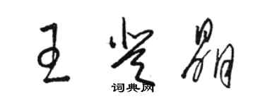 駱恆光王登晶草書個性簽名怎么寫