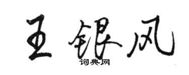 駱恆光王銀風行書個性簽名怎么寫