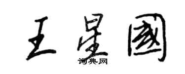 王正良王星國行書個性簽名怎么寫