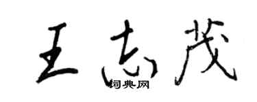 王正良王志茂行書個性簽名怎么寫