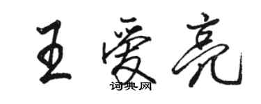 駱恆光王愛亮行書個性簽名怎么寫