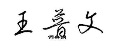 梁錦英王普文草書個性簽名怎么寫