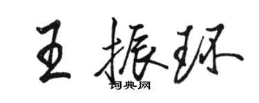 駱恆光王振環行書個性簽名怎么寫