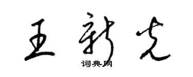 梁錦英王新光草書個性簽名怎么寫