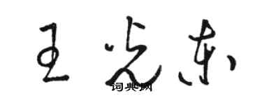 駱恆光王光東草書個性簽名怎么寫