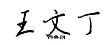 王正良王文丁行書個性簽名怎么寫