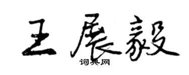 曾慶福王展毅行書個性簽名怎么寫