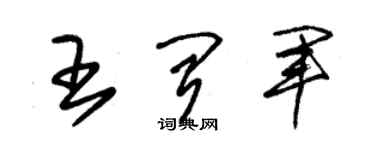 朱錫榮王聞軍草書個性簽名怎么寫