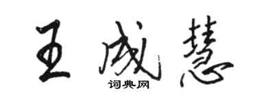 駱恆光王成慧行書個性簽名怎么寫