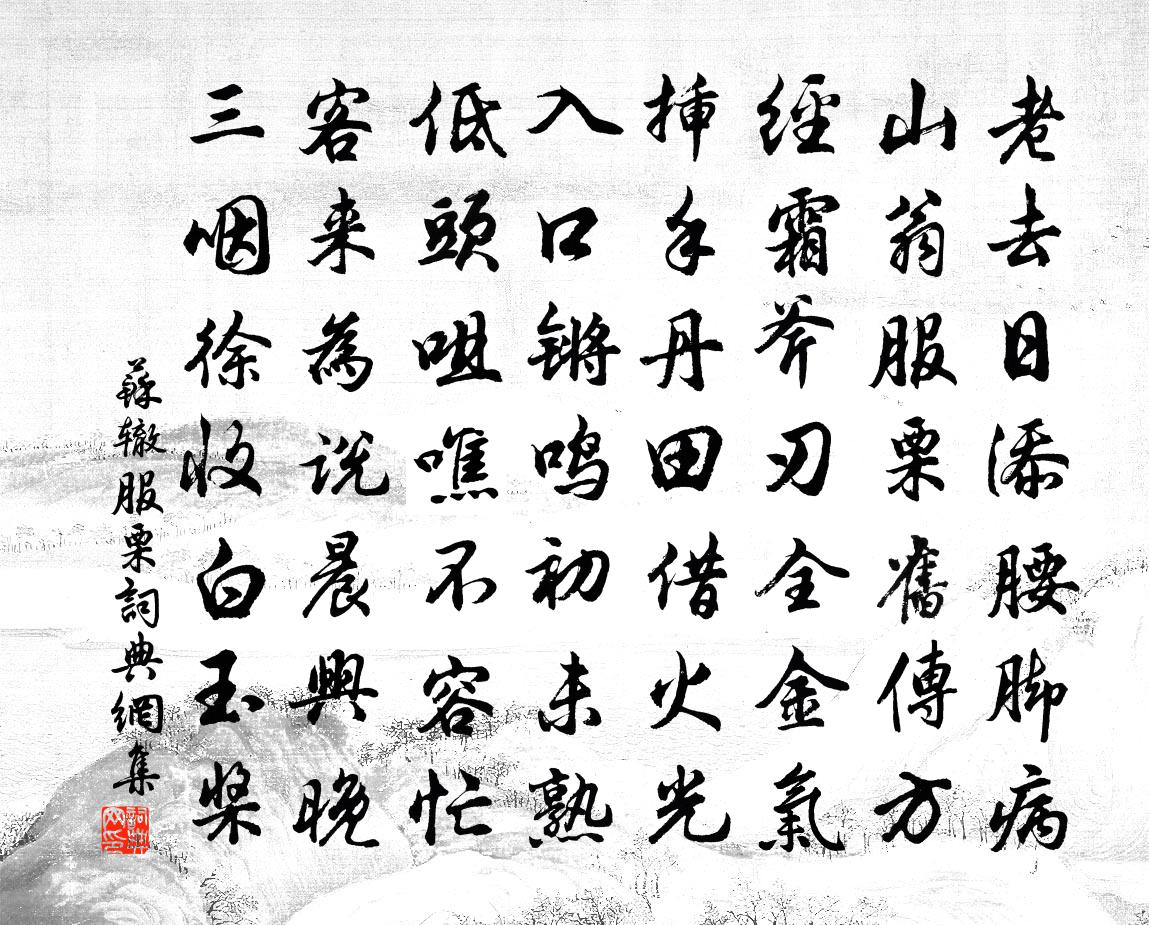 蘇轍服栗書法作品欣賞