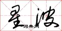 朱錫榮星波草書怎么寫